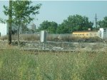 CN 15002, MILW 250002 + 261 Tender